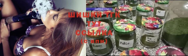гашик Арсеньев