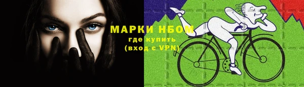 a pvp Аркадак